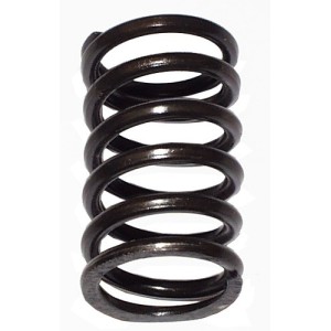 ressort de soupape intérieur