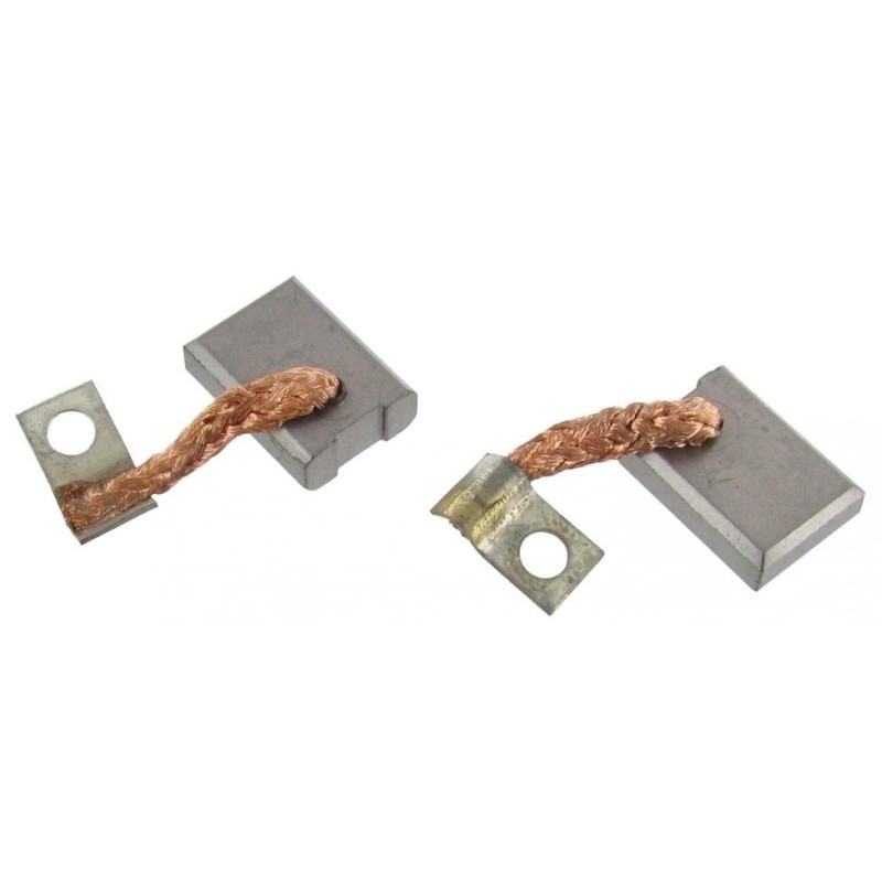 set de 2 charbons de dynamo 6 Volts (diamètre 90mm)