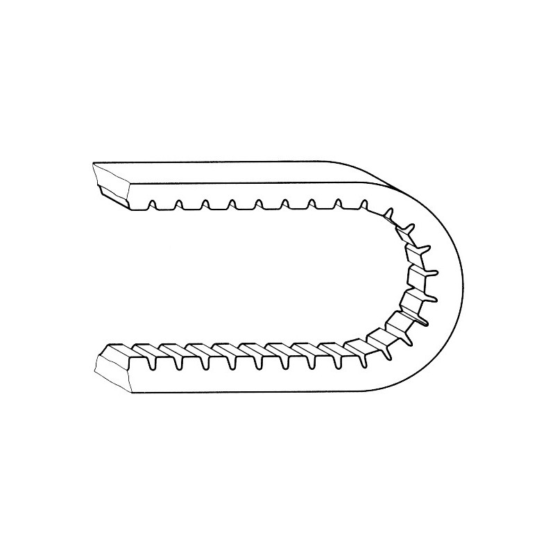 courroie d'alternateur AVX10 x 875 mm