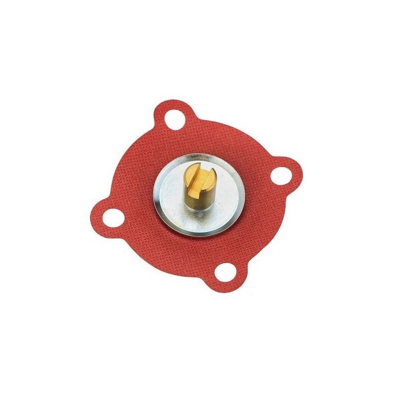 membrane de pompe de reprise pour Dellorto toutes tailles