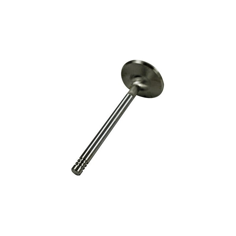 soupape (1) 44mm INOX (queue de 8mm)