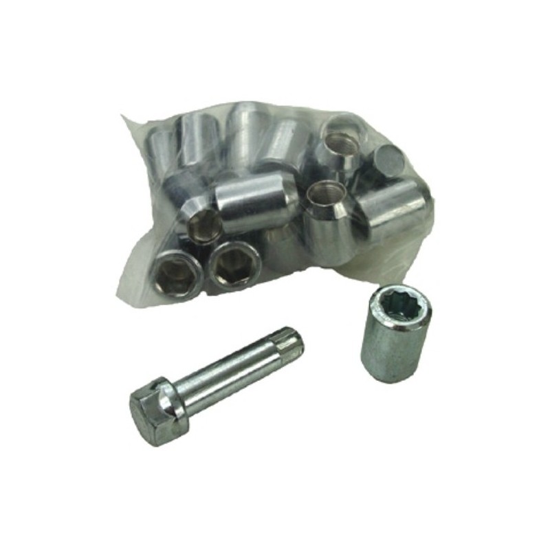 set de 20 écrous + clef POUR BRM