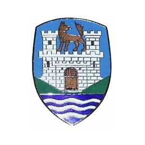 écusson capot WOLFSBURG...