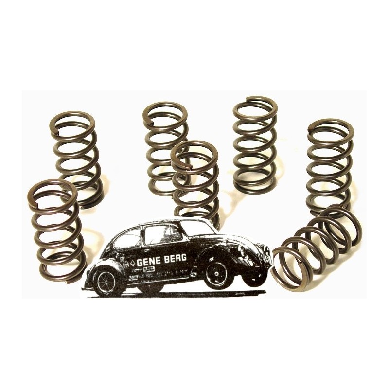set de 8 ressorts simples de soupapes renforcés BERG