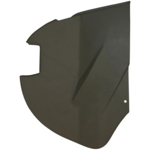 partie avant gauche de joue...