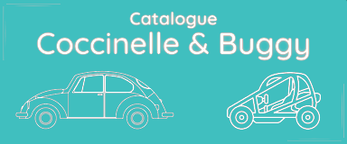 Catalogue Coccinelle-Buggy | Microprix.fr