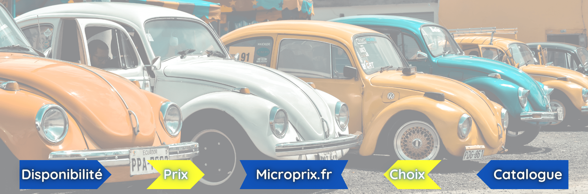 Large choix | Microprix.fr | Cocx Combi Transporter Golf